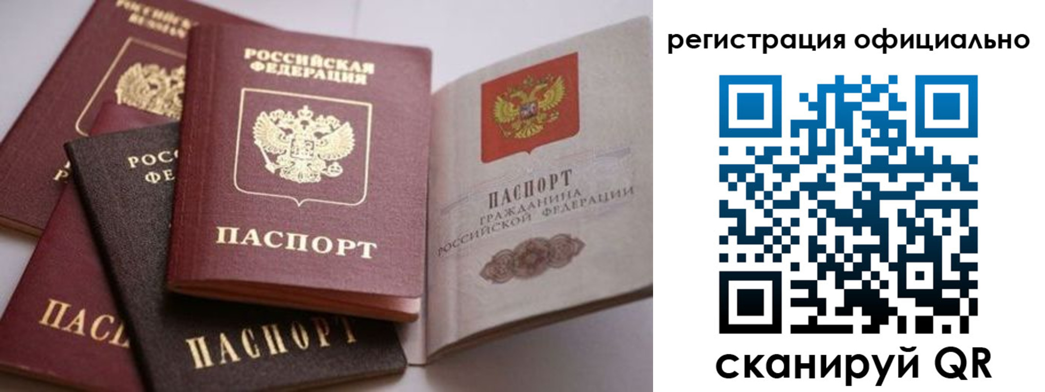 временная регистрация купить в Светлом